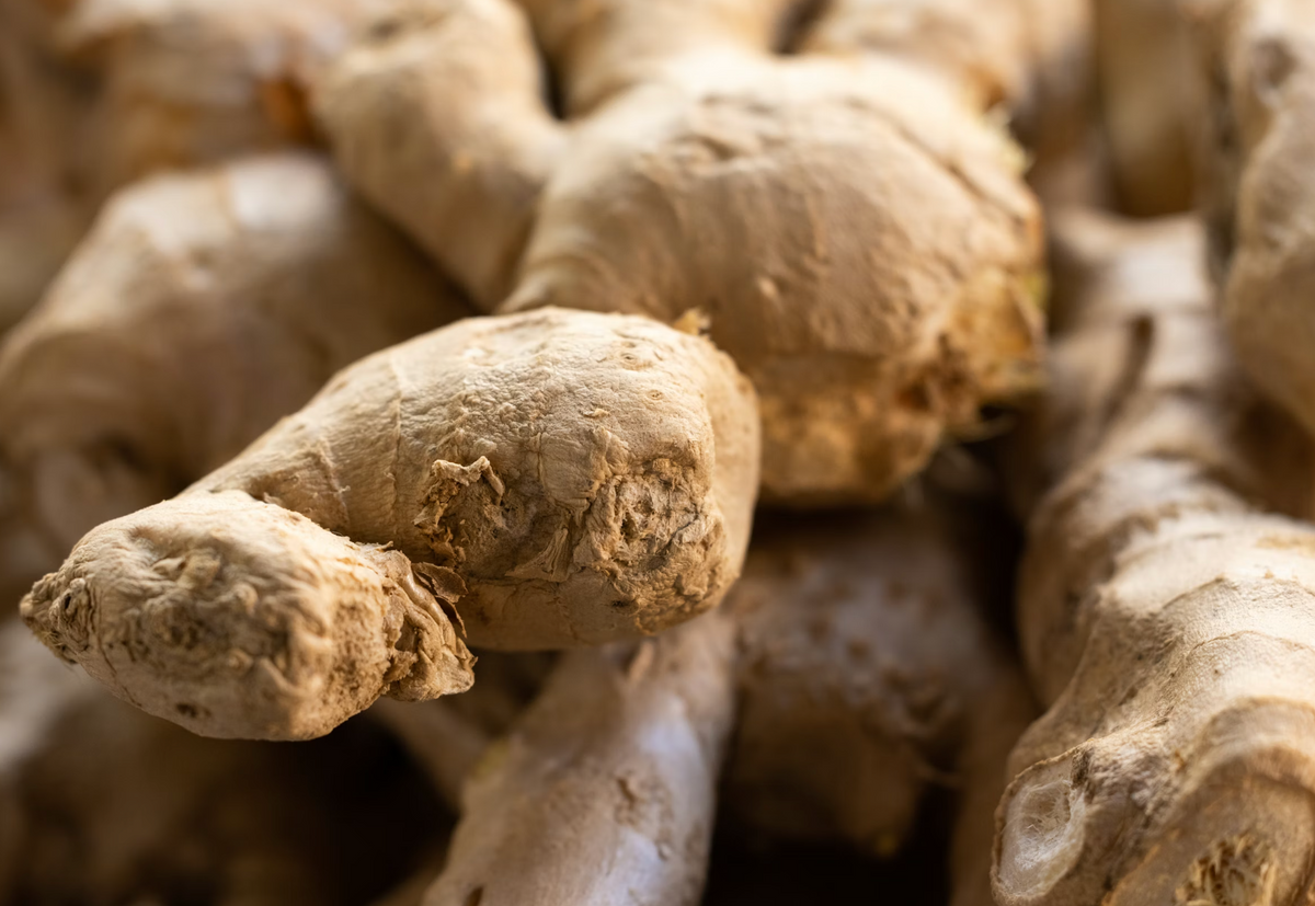 Ginger Root