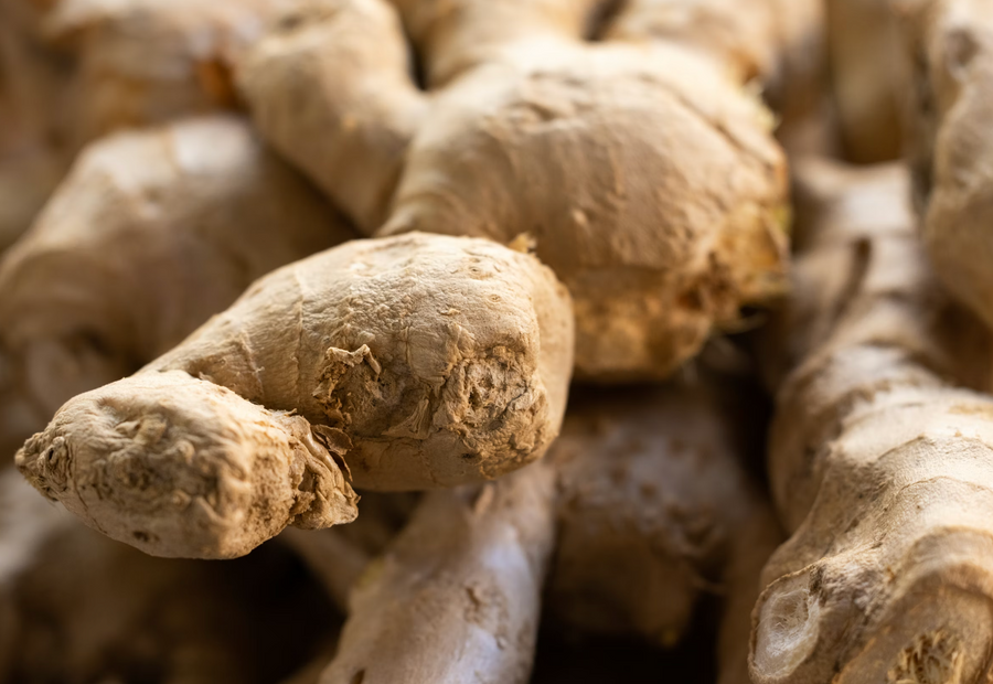 Ginger Root