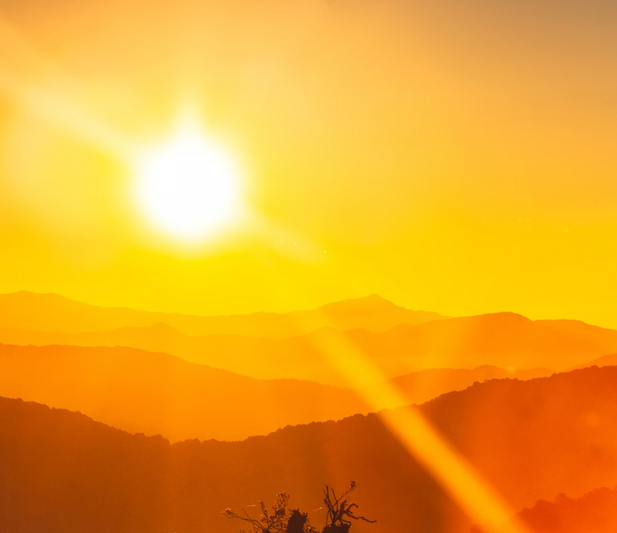 Vitamin D3