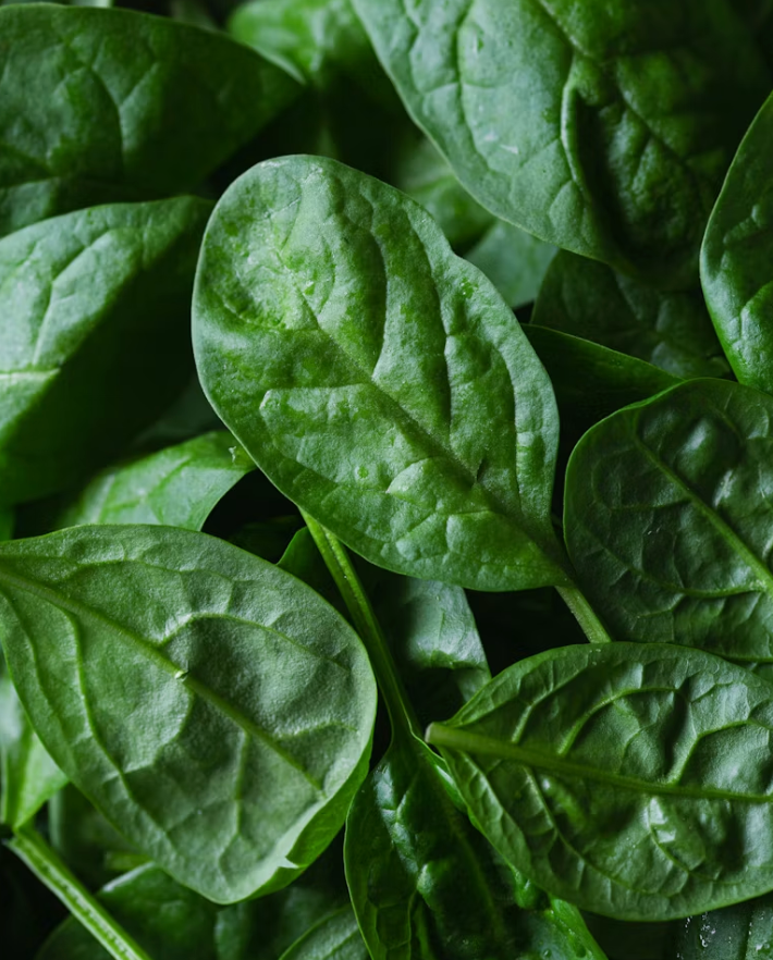 Folate