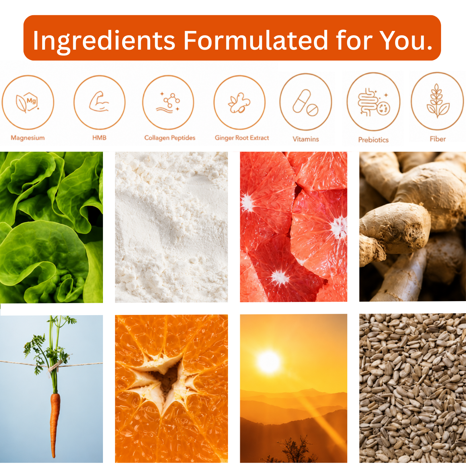 Alula Daily GLP-1 Support System - 30 Day Subscription