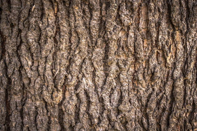 Guar Gum Fiber