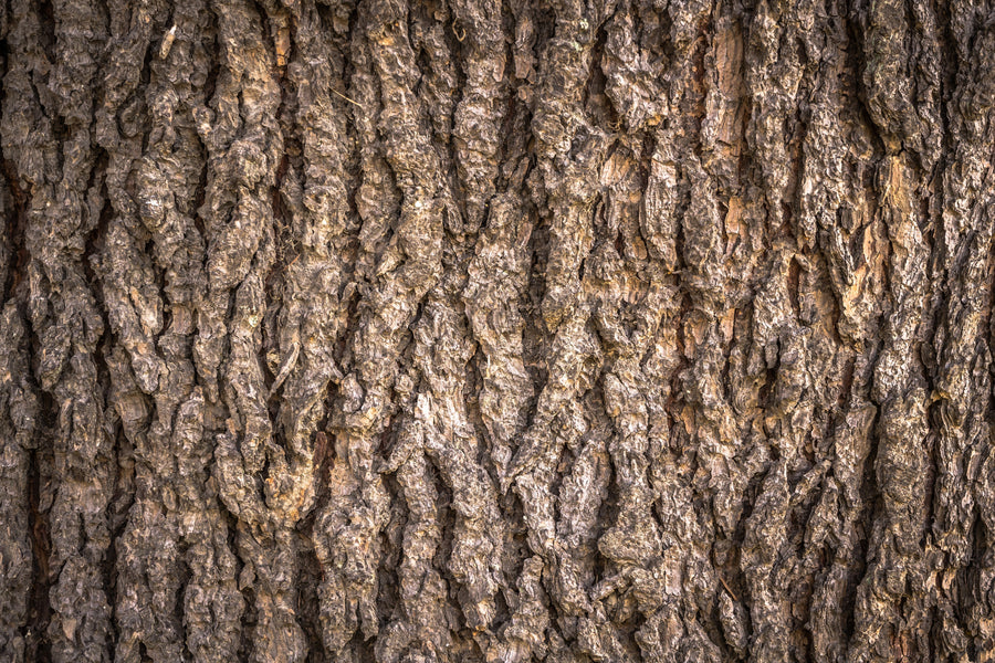 Guar Gum Fiber